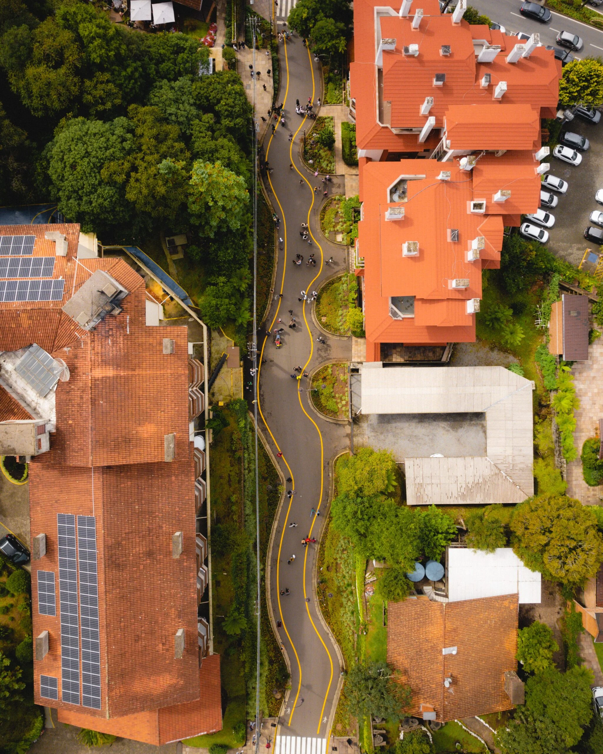 Kaip prisitaikymas prie klimato kaitos transformuos Europos miestus? II dalis 11 pexels diego britez photo scaled