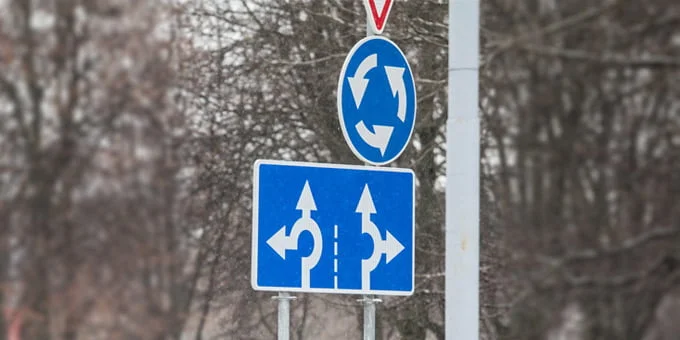 ziedines sankryzos zenklas